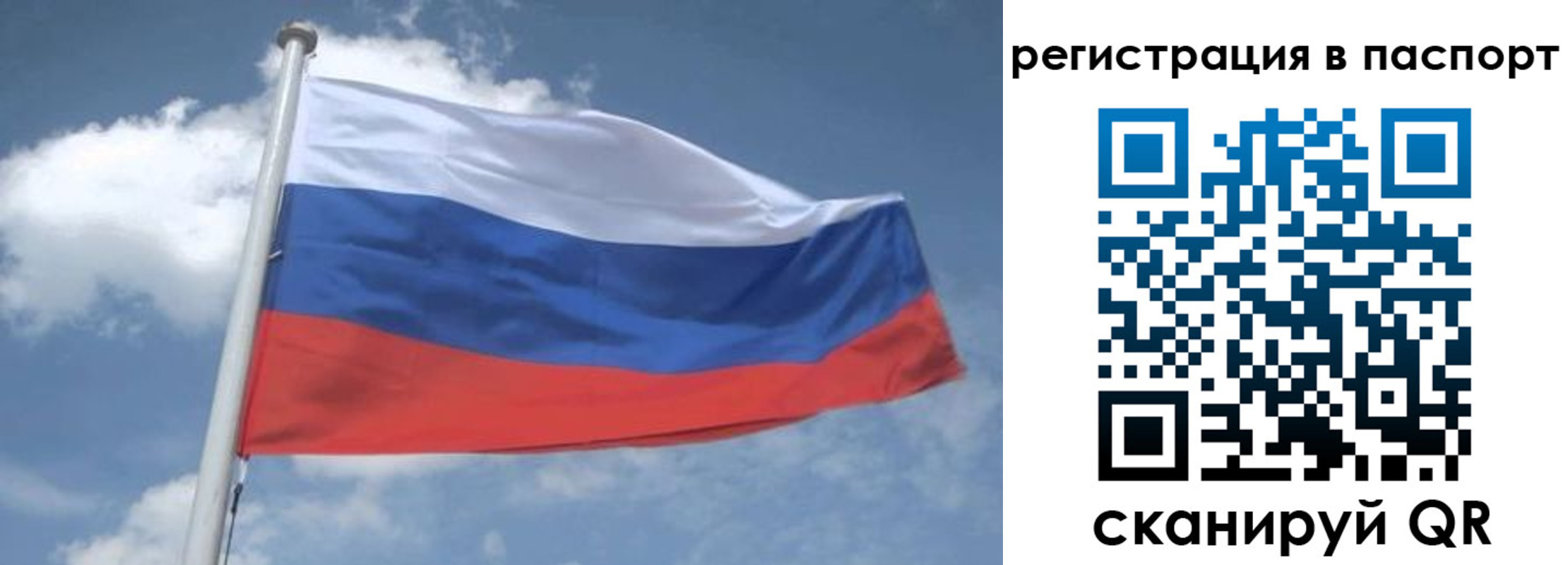 временная регистрация надежно в Арамили